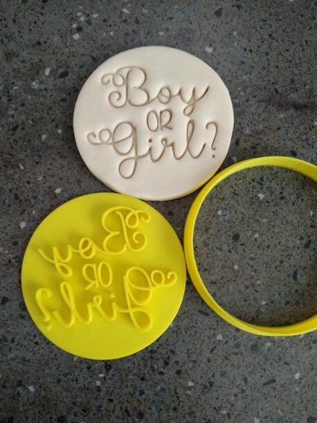 Boy or Girl? Gender Reveal Day Cookie Fondant Embosser Stamp & Cutter