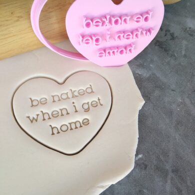 Be Naked when I get home Cookie Fondant Stamp Embosser and Cutter – Valentines Day