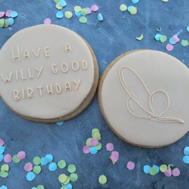 Have a Willy good Birthday with Balloon Set Fondant Cookie Stamp with Raised Detail Debosser Pop Stamp